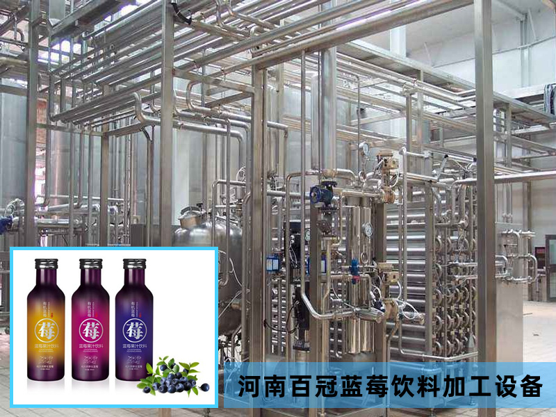 全套藍莓飲料加工設備價格廠家直銷,河南百冠2020款新品上市